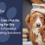 What Can I Give My Dog for Dry Skin