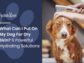 What Can I Give My Dog for Dry Skin