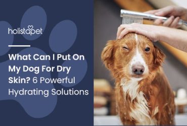 What Can I Give My Dog for Dry Skin